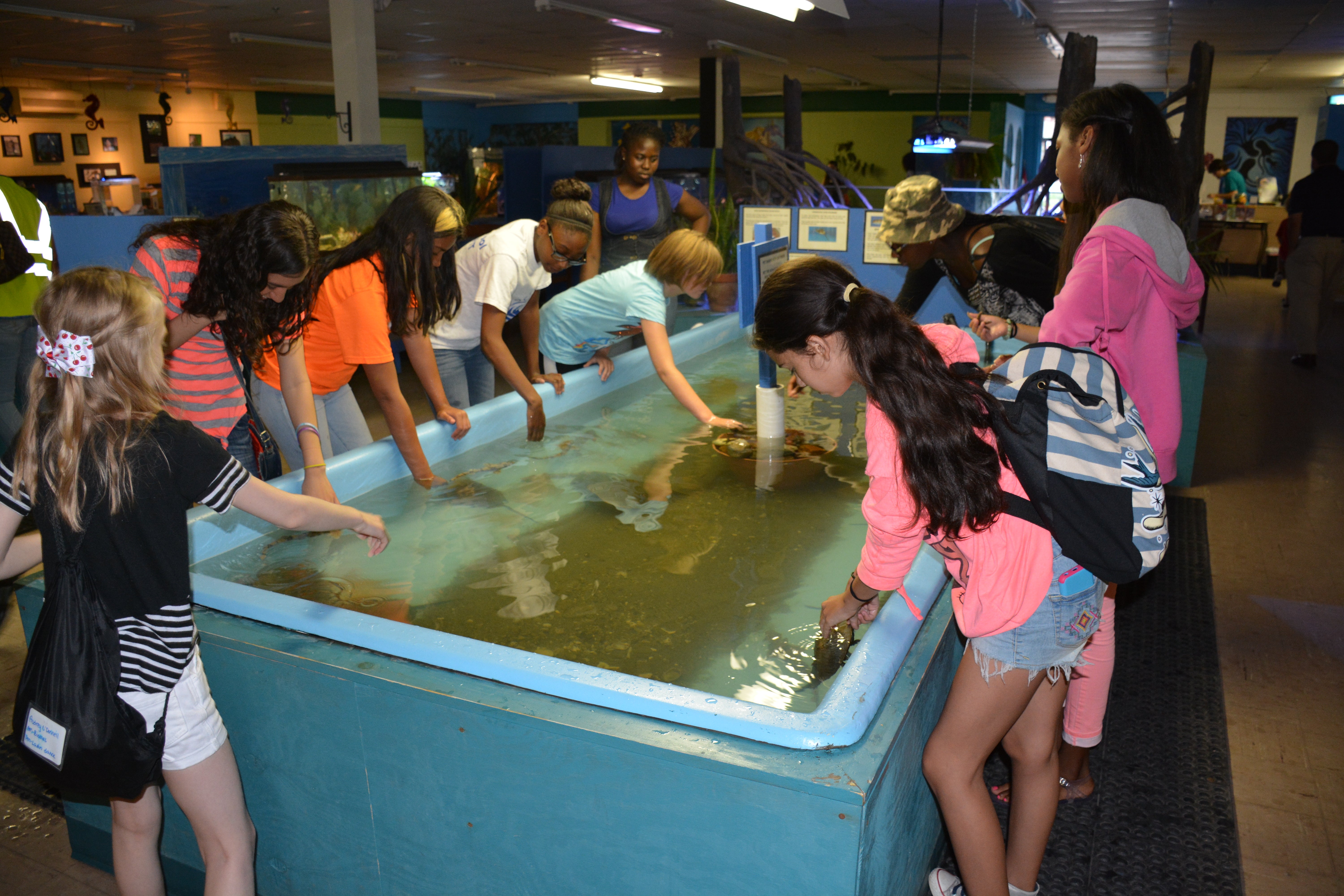 A study finds that participation in the summer part of a program for middle-school-age youngsters is linked to improved attitudes toward school.