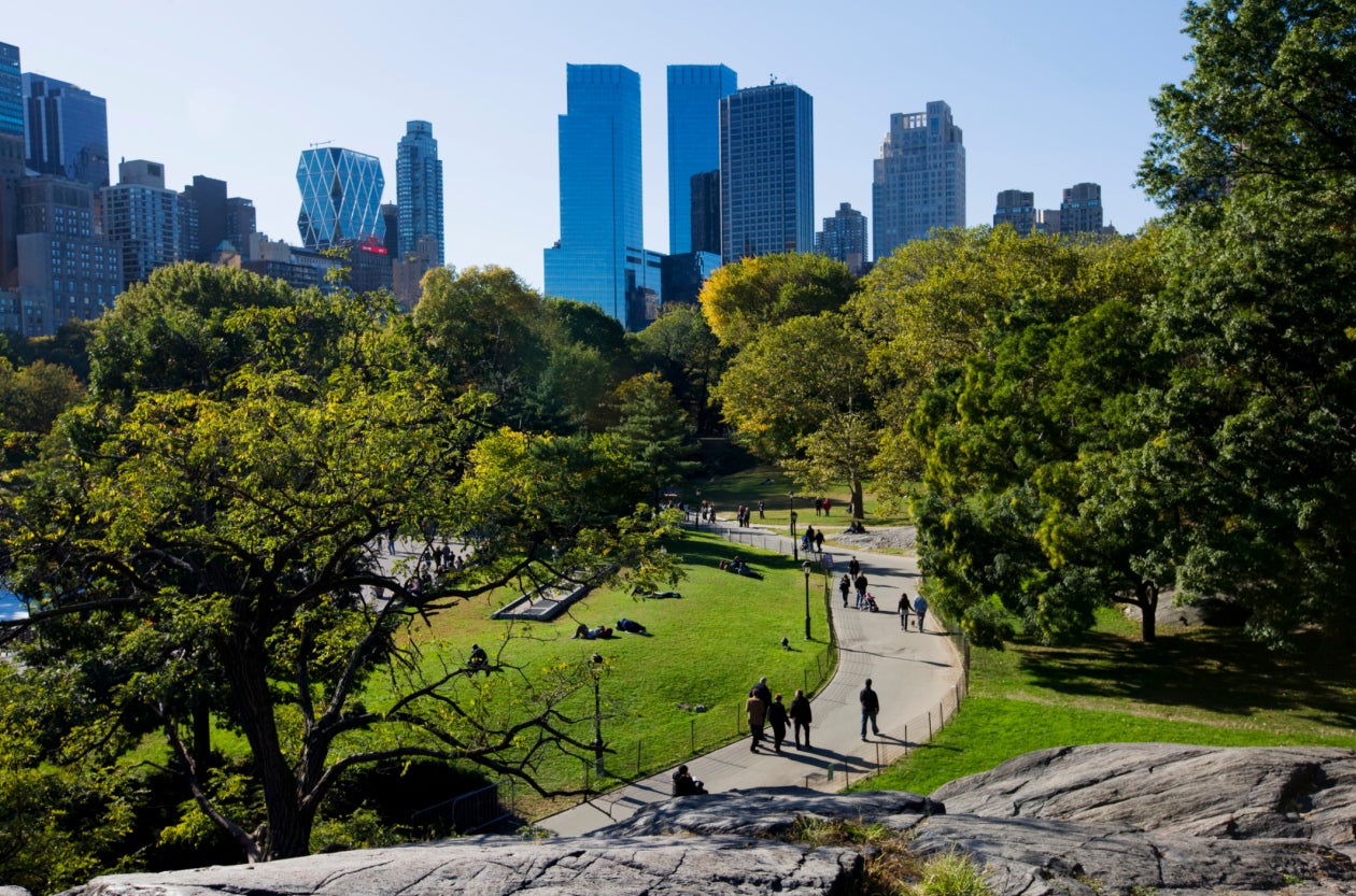 A view in Central Park, New York City