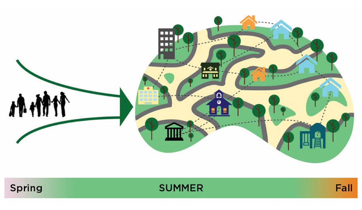 Illustrative graphic of summertime growth for young people