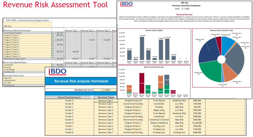 Revenue Risk Analysis tool